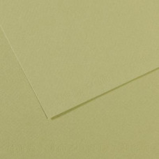 Папір пастельний Canson Mi-Teintes 160 г/м2 50x65 см №480 Light green Світло-зелений