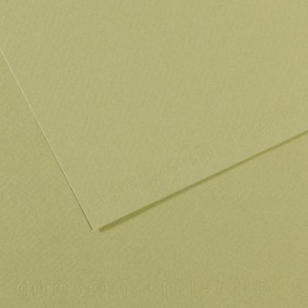 Папір пастельний Canson Mi-Teintes 160 г/м2 50x65 см №480 Light green Світло-зелений