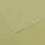 Папір пастельний Canson Mi-Teintes 160 г/м2 50x65 см №480 Light green Світло-зелений