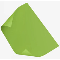 Папір Folia Tinted Paper 130 г/м2, 50x70 см №50 Spring green Салатовий