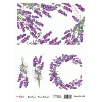 Декупажна карта на рисовому папері Rice Paper Decoupage Cadence, №483