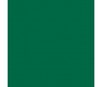 Папір Folia Tinted Paper 130 г/м2, 20х30 см №58 Fir green Темно-зелений