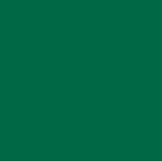 Бумага Folia Tinted Paper 130 г/м2, 20х30 см, №58 Fir green Темно-зеленый