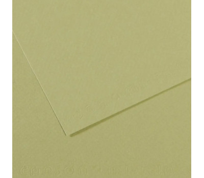 Папір для пастелі Canson Mi-Teintes, №480 Світло-зелений Light green, 160 г/м2, 75x110 см
