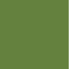 Пастель Conte Soft Pastels №016 Olivre green Оливковий арт 500035