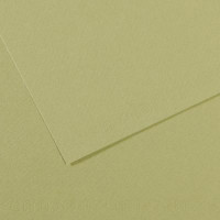 Бумага пастельная Canson Mi-Teintes, 160 г/м2, A4 #480 Light green Светло-зеленый