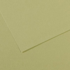 Папір пастельний Canson Mi-Teintes, 160 г/м2, A4 #480 Light green Світло-зелений