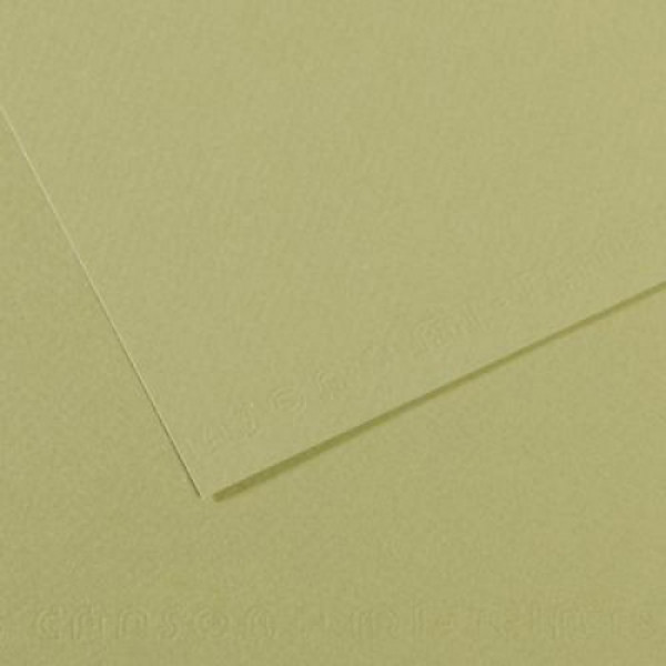 Бумага пастельная Canson Mi-Teintes, 160 г/м2, A4 #480 Light green Светло-зеленый