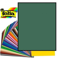 Картон Folia Photo Mounting Board 300 г/м2, A4 №58 Fir green Темно-зелений