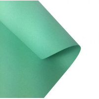 Двосторонній декоративний картон фотофон Folia Photo Mounting Board 300 г/м2,50x70 см №25 Mint М'ятний