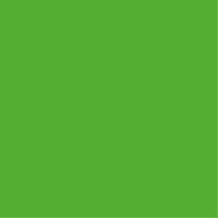 Картон Folia Photo Mounting Board 300 г/м2, 70x100 см №55 Grass green Зелений
