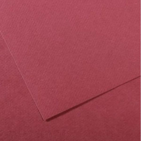 Папір пастельний Canson Mi-Teintes 160 г/м2 50x65 см №117 Plum Сливовий