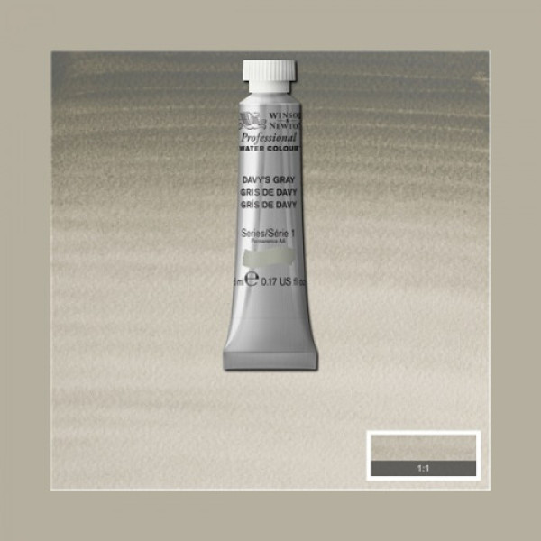 Акварельна фарба Winsor Newton Professional, №217, Davys Gray Девіс Сірий, 5 мл