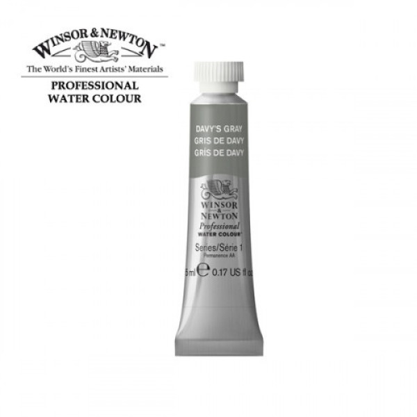 Акварельна фарба Winsor Newton Professional, №217, Davys Gray Девіс Сірий, 5 мл