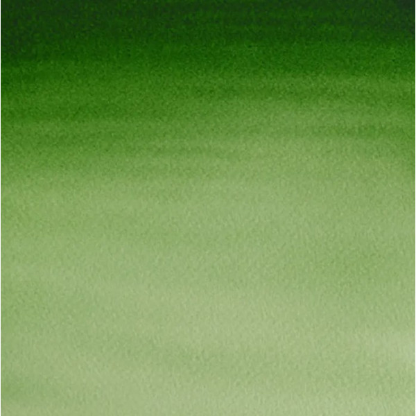 Акварельная краска Winsor Newton Cotman Half Pan, № 314 Зеленый светлый хукер