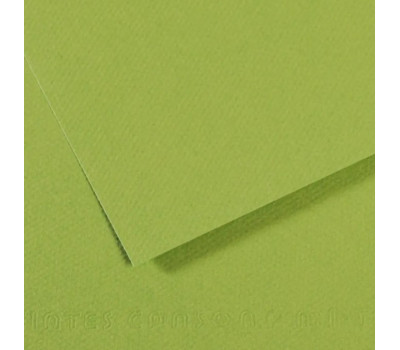 Папір для пастелі Canson Mi-Teintes №475 Яблучно-зелений Apple green, 160 г/м2, 75x110 см