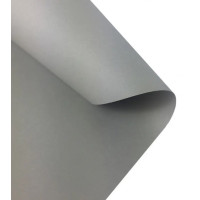 Картон Folia Photo Mounting Board 300 г/м2, A4, №80 Light grey Светло-серый