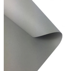 Картон Folia Photo Mounting Board 300 г/м2, A4 №80 Light grey Світло-сірий