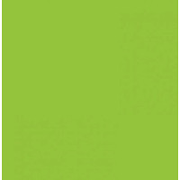Картон Folia Photo Mounting Board 300 г/м2, A4 №50 Spring green Салатовий