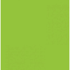 Картон Folia Photo Mounting Board 300 г/м2, A4, №50 Spring green Салатовый