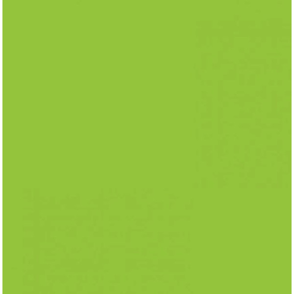 Картон Folia Photo Mounting Board 300 г/м2, A4 №50 Spring green Салатовий