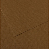 Бумага пастельная Canson Mi-Teintes 160 г/м2 50x65 см №501 Tobacco Табачный