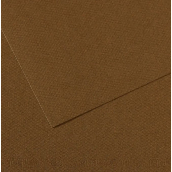 Папір пастельний Canson Mi-Teintes 160 г/м2 50x65 см №501 Tobacco Тютюновий