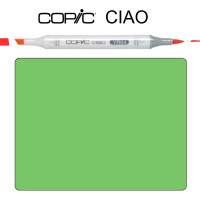 Маркер Copic Ciao G-07 Nile green Зелений Ніл
