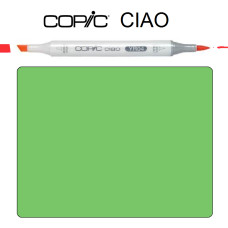 Маркер Copic Ciao G-07 Nile green Зелений Ніл