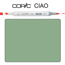 Маркер Copic Ciao BG-96 Bush Зеленый куст