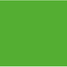 Бумага Folia Tinted Paper 130 г/м2, 20х30 см, №55 Grass green Зеленый