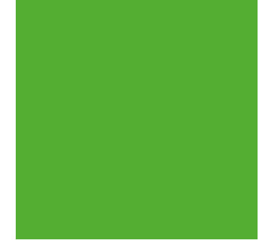 Папір Folia Tinted Paper 130 г/м2, 20х30 см №55 Grass green Зелений
