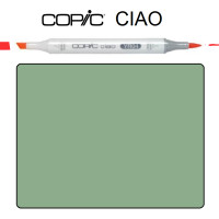 Маркер Copic Ciao G-94 Grayish olive Сіро-оливковий