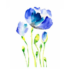 Трансферы для ткани Watercolor Fabric Transfer Cadence, 25х35 см, KTSB 014