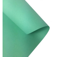 Бумага Folia Tinted Paper 130 г/м2, 50x70 см, №25 Mint Мятный