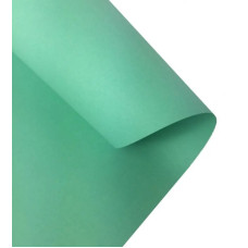 Бумага Folia Tinted Paper 130 г/м2, 50x70 см, №25 Mint Мятный
