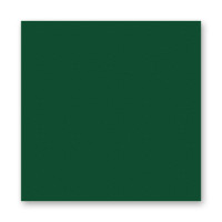 Фетр листовий Folia Hobby Craft Felt, 20x30 см №58 Fir green Темно-зелений