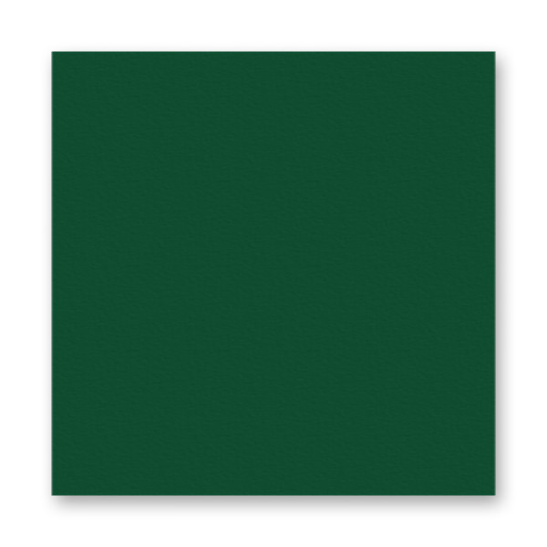 Фетр листовий Folia Hobby Craft Felt, 20x30 см №58 Fir green Темно-зелений