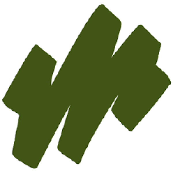 Чорнило Copic Various Ink для маркерів YG-99 Marine green (Темно-зелений)