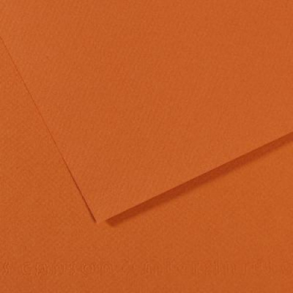 Бумага пастельная Canson Mi-Teintes 160 г/м2 50x65 см №504 Amber Янтарный
