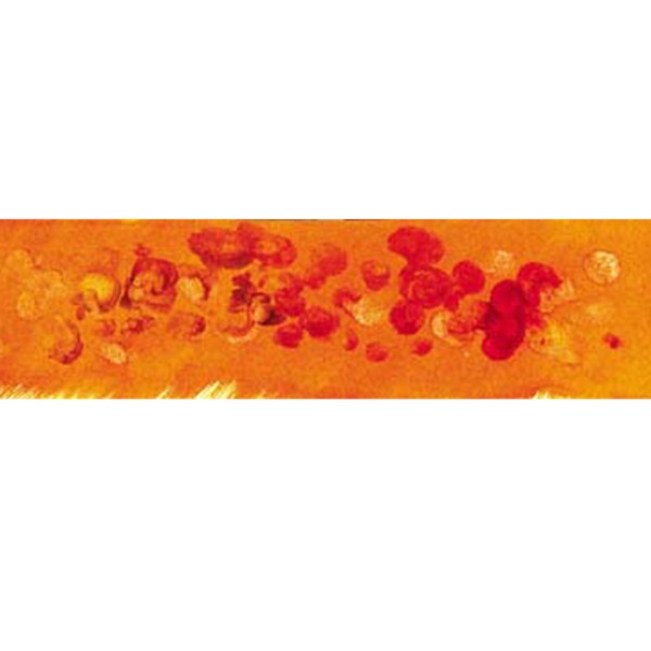 Winsor медіум для аквареллю живопису Granulation medium, 75 мл арт. 2621762