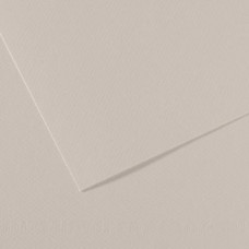 Папір пастельний Canson Mi-Teintes 160 г/м2 50x65 см №120 Pearl grey Ніжно-сірий