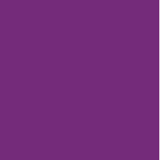 Пастель мягкая сухая Conte Soft Pastels, № 005 Violet Фиолетовый