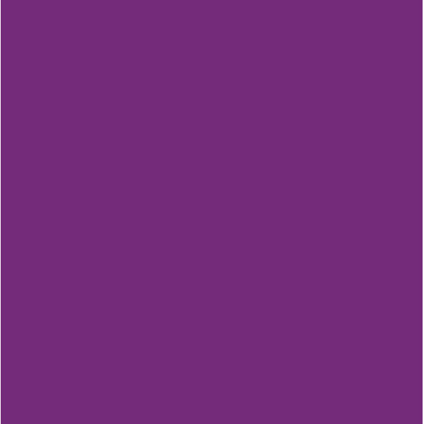 Пастель мягкая сухая Conte Soft Pastels, № 005 Violet Фиолетовый