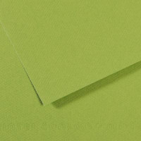 Бумага пастельная Canson Mi-Teintes 160 г/м2 50x65 см №475 Apple green Яблочно-зеленый