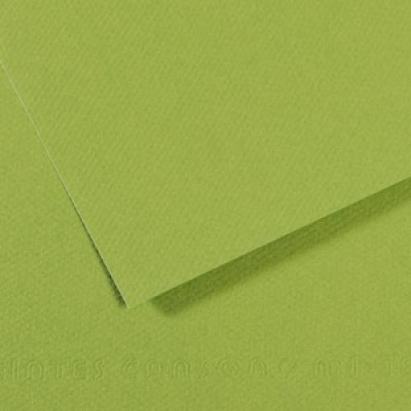 Бумага пастельная Canson Mi-Teintes 160 г/м2 50x65 см №475 Apple green Яблочно-зеленый