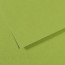 Папір пастельний Canson Mi-Teintes 160 г/м2 50x65 см №475 Apple green Яблучно-зелений