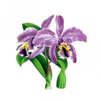 Трансфер для ткани, универсальный Cadence, Planet Transfer 12х17 см, CD-850