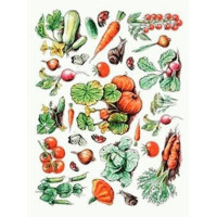 Декупажна карта на рисовому папері Rice Paper Decoupage Cadence, А3 №25