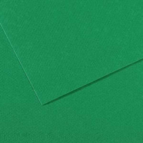 Бумага пастельная Canson Mi-Teintes, 160 г/м2, A4 №575 Viridian Зеленый